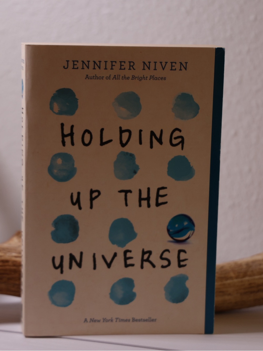 Holding Up The Universe Jennifer Niven